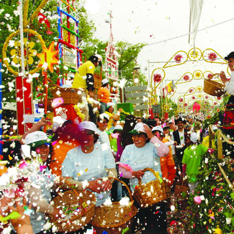 Cultura y Fiestas 